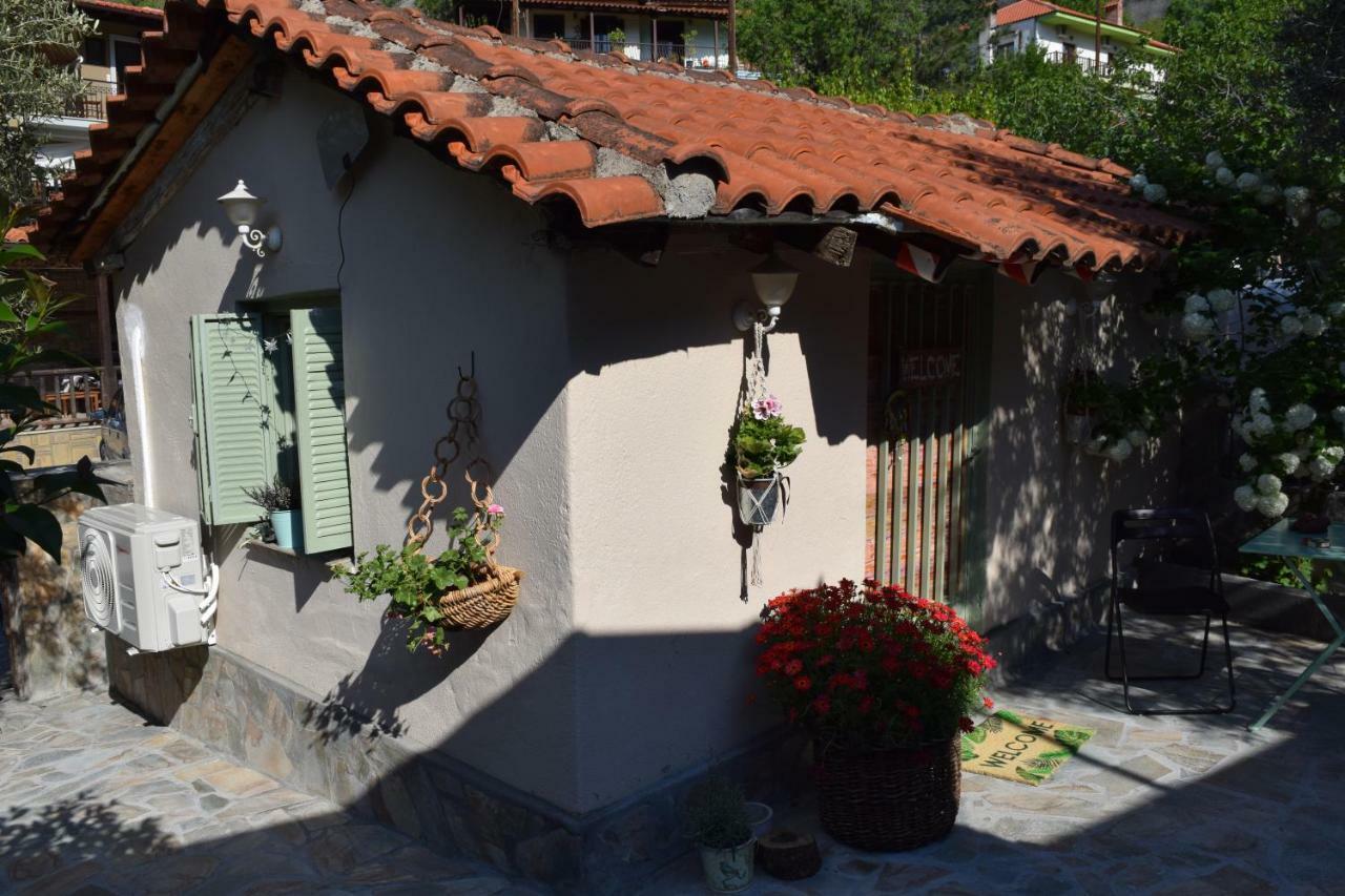 Rina'S House Villa Kalambáka Kültér fotó